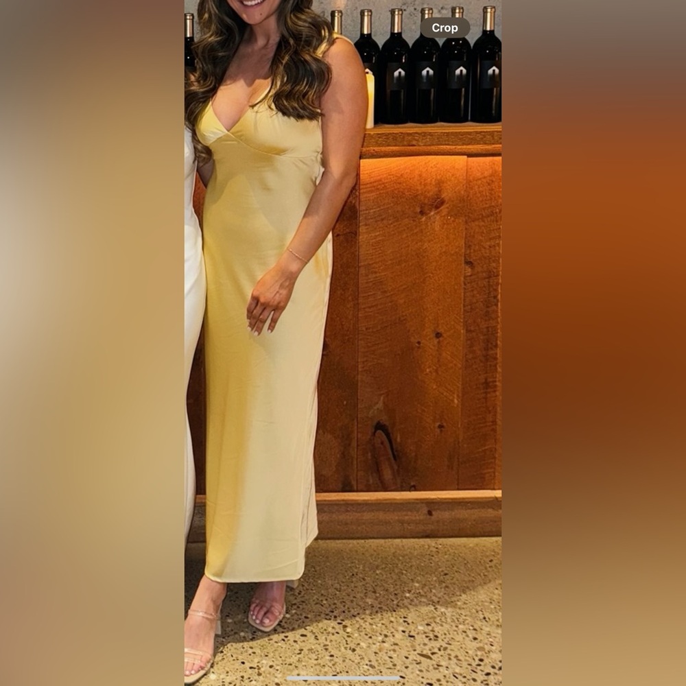 Abercrombie Plunge Cowl Back Maxi Dress
